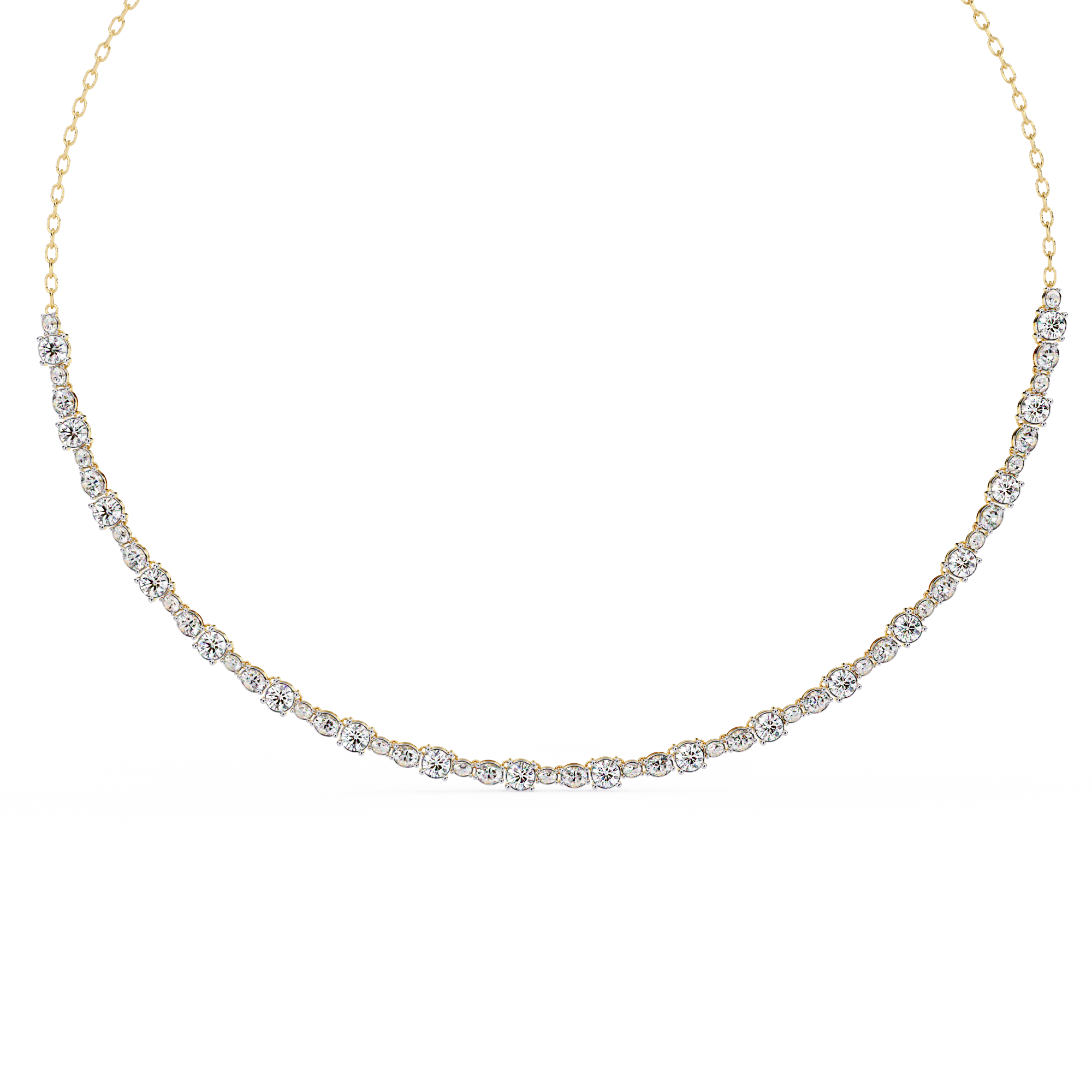 RANK-2026021214219